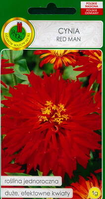 Zinnia "Red Man"